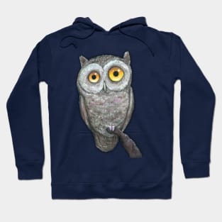 An oil painting of a funny owl Hoodie